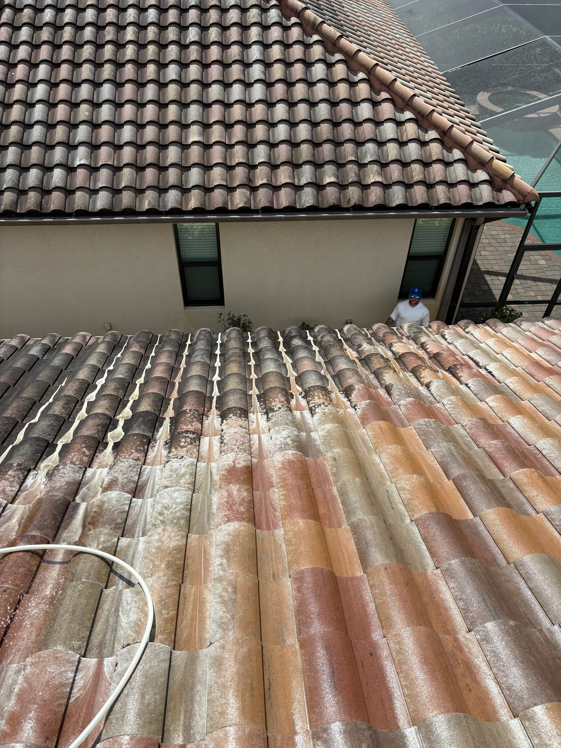 Roof Cleaning